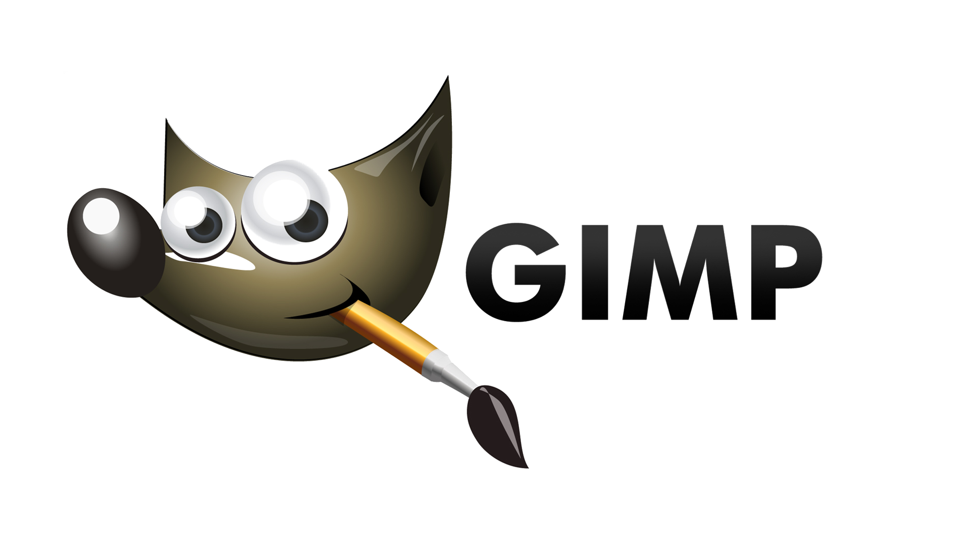 GIMP